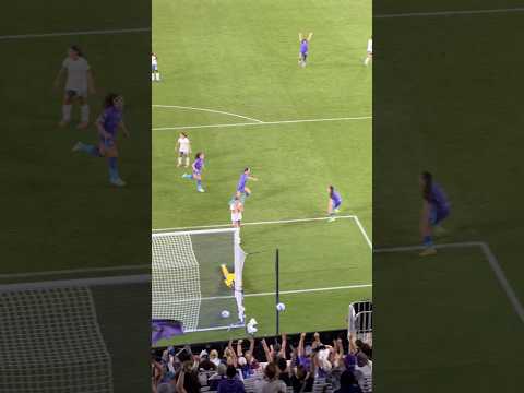 THE BEAUTIFUL GAME 🔥