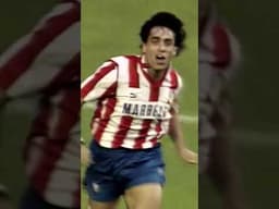 🎂🇵🇹 Happy Birthday, Futre!