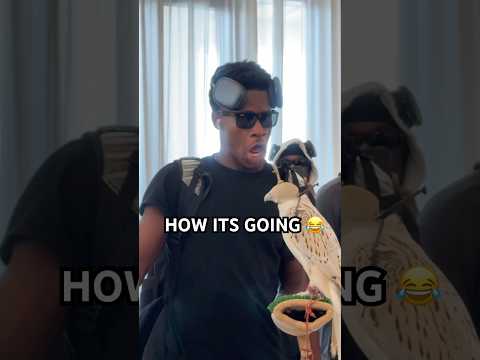 VJ said he wouldn’t hold the Falcon in Abu Dhabi…