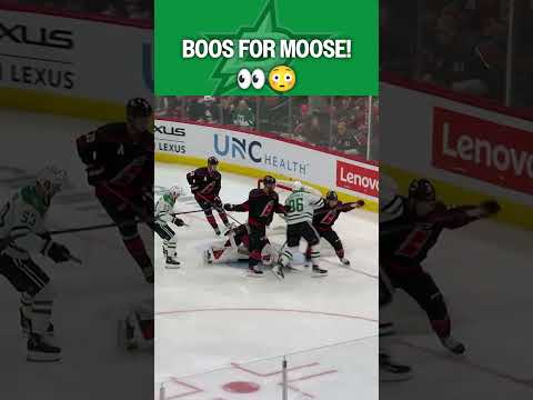 Moose gets BOOED! 🫎