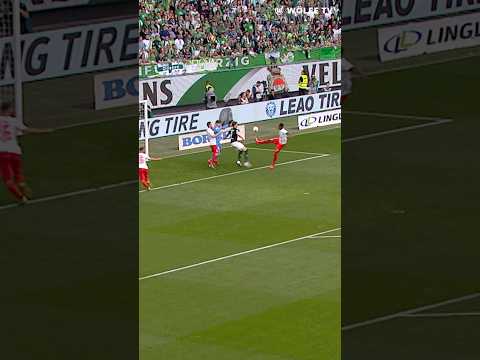 Start of a festival 🔥