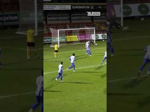 Which Save Was Better? 🤔