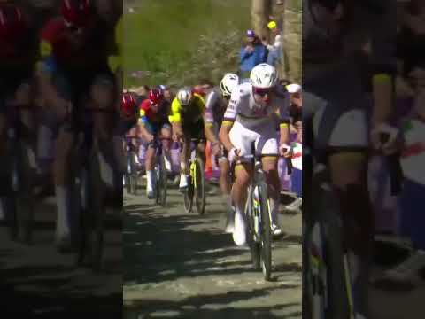 Pogacar’s playground 🛝😅 The world champion made it look easy in the Tour of Flanders.