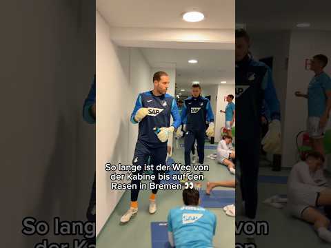 Langes Labyrinth 🤯😂 #Hoffenheim #OliverBaumann#LucaPhilipp #WerderBremen #SVWTSG