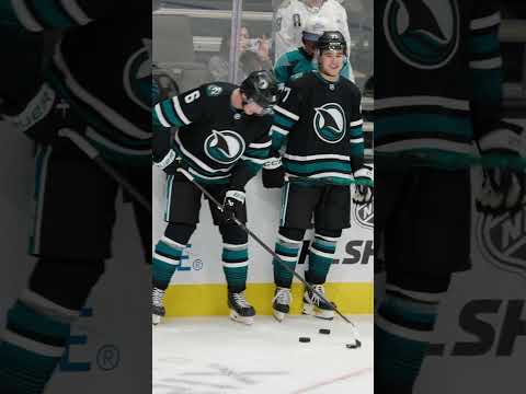 Born to be a Shark 😤