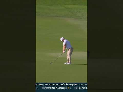 Inches from an albatross 💪⛳