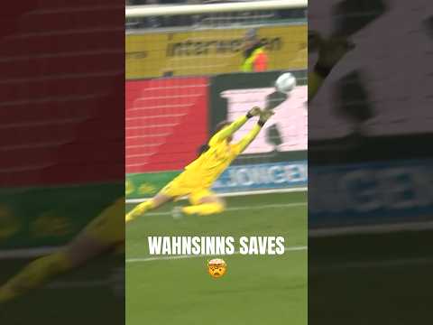 Happy Birthday, Moritz Nicolas! 🥳 28 Jahre die Katze aus Gladbeck! 💚 #dieFohlen