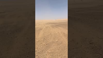 Rest day • 0k, no run but sandstorms ripped through camp all day long. No easy days in the desert.