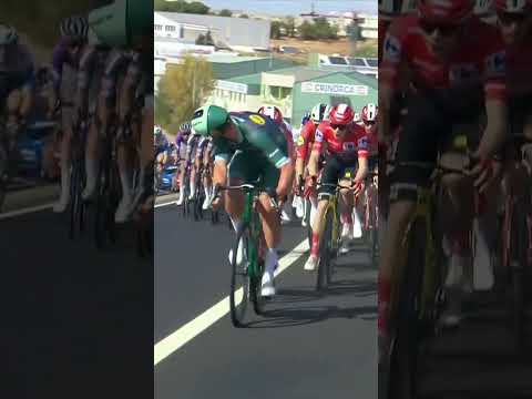 Chaos in the crosswinds! 💨 Mads Pedersen and Brandon Rivera nearly come to blows.