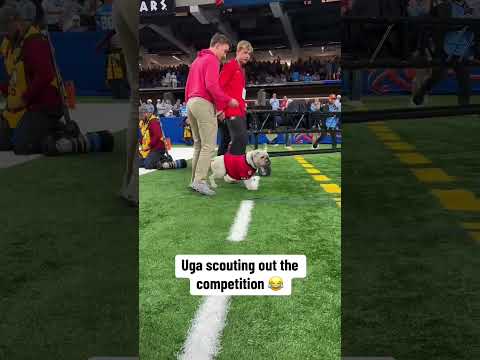 Not messing around at the CFP 😤