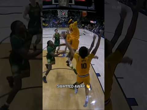 Lee said NOPE ❌ #calbears #collegebasketball #basketball #accbasketball #ncaabasketball #sports