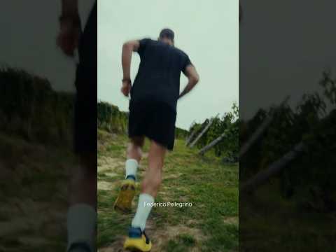 🗣️ "It's not only about the body energies, but even much more about the mental energies." 💪