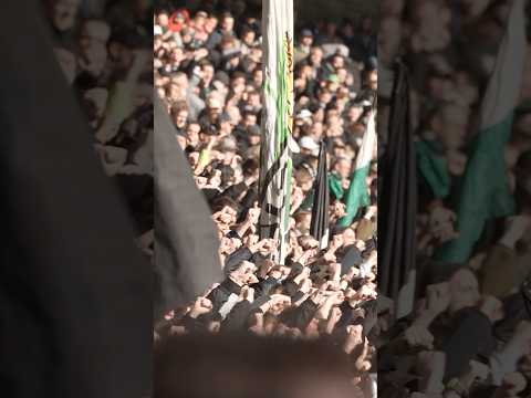 𝗙𝗹𝘂𝘁𝗹𝗶𝗰𝗵𝘁. 𝗗𝗲𝗿𝗯𝘆. 𝗙𝗼𝗿𝘇𝗮 𝗕𝗼𝗿𝘂𝘀𝘀𝗶𝗮 🖤🤍💚 #dieFohlen