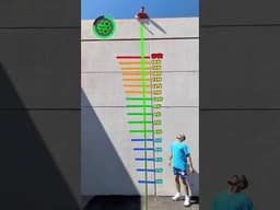 Which Ball Bounces the Highest?