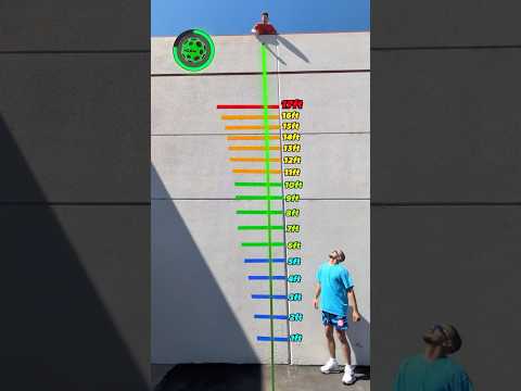 Which Ball Bounces the Highest?