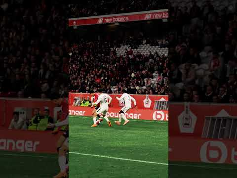 🇩🇿🤝 🇲🇦