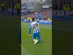 'He Doesn't Score Tap Ins' - Another Sensational Gomez Goal #diegogomez #brightonandhovealbion