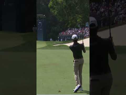 Akshay Bhatia made this look easy 👀