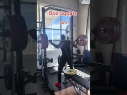 Noah Lyles Strength Day: Box Squat Work