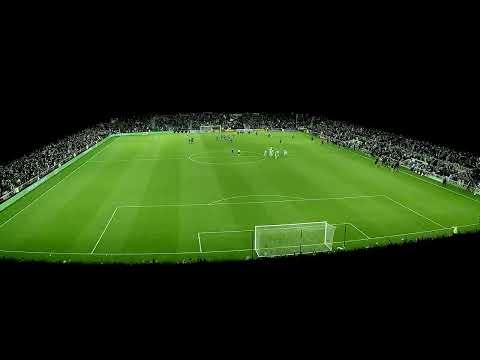 Loon's-Eye View: Off the Crossbar