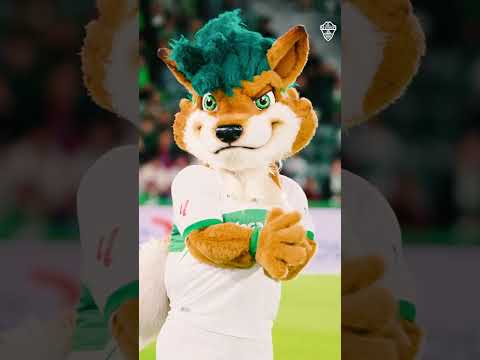 📽️ 𝐈𝐍𝐒𝐈𝐃𝐄 𝐄𝐂𝐅 | Lo que no se vio del #ElcheRealSociedad 🙌💚