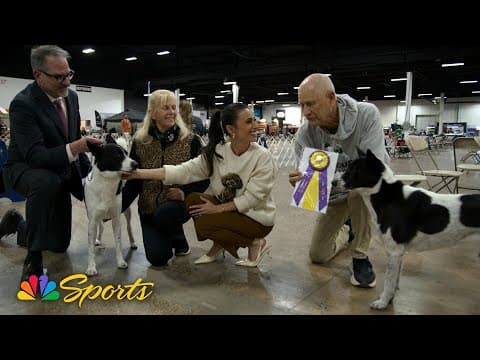 Rare breeds to root for at the 2025 National Dog Show | NBC Sports