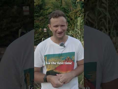 Will we see Remco Evenepoel win another Grand Tour with his new team at Red Bull–BORA-Hansgrohe? 🤔