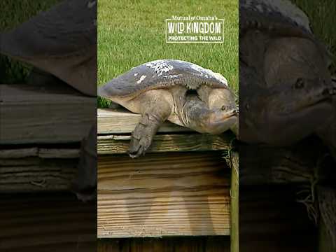 Par? 5️⃣. Splash? Perfect 🔟🏅