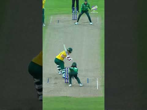 Annerie Dercksen goes big as the Proteas look comfortable in the chase 💥