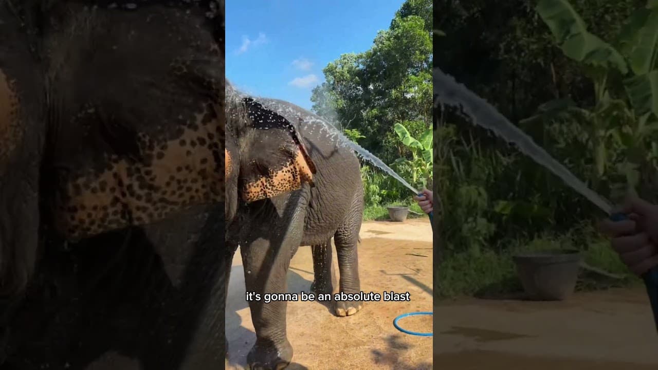 Join us in Thailand this September - check out thegloberunners.com