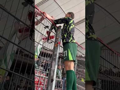 ALLE ZUSAMMEN 💚🤍🐺