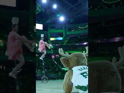 Bango admires the greatness that is Red Panda!