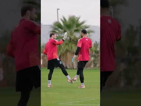 High Fives for Everyone