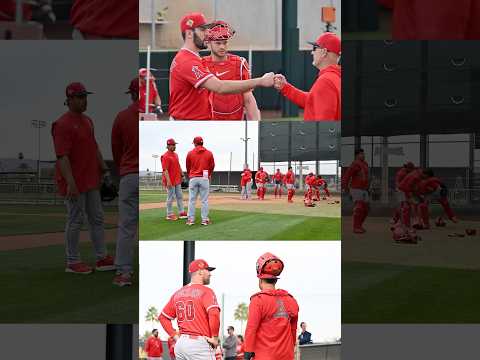 Angels Pitchers & Catchers Spring Training Workouts 🌵