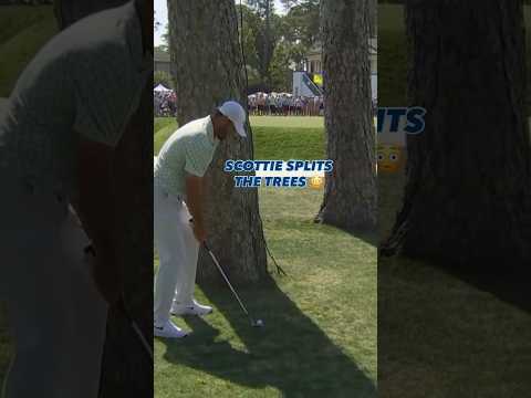 Caution: results may vary if you attempt to recreate Scottie Scheffler at your home course ⚠️😅