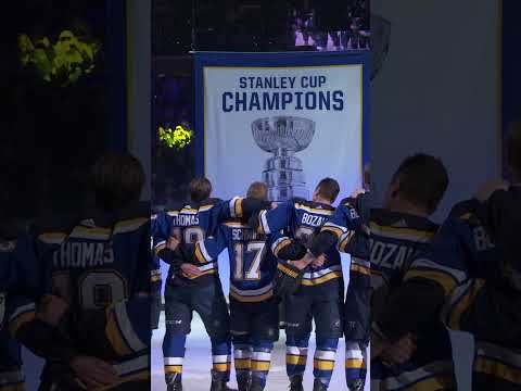 Past Decade of Stanley Cup Banner Nights 🏆✨