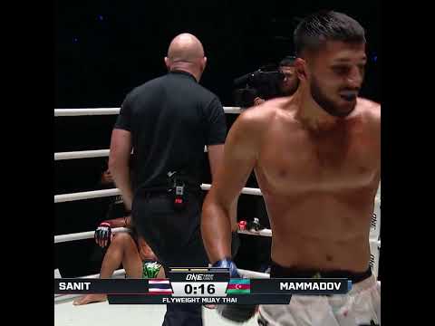 SHUT DOWN 😵 Elvin Mammadov batters Sanit's body for a second-round TKO!