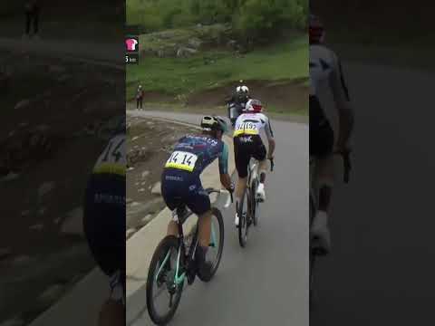 Neutral service, Giro edition 😎🌭🍷