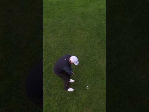 Overhead view of the perfect chip👌