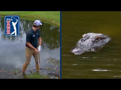 Vince Whaley plays from lake with GATOR just feet away | Sanderson Farms | 2025