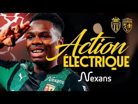 ACTION ÉLECTRIQUE I Un aigle qui fait des étincelles ⚡️