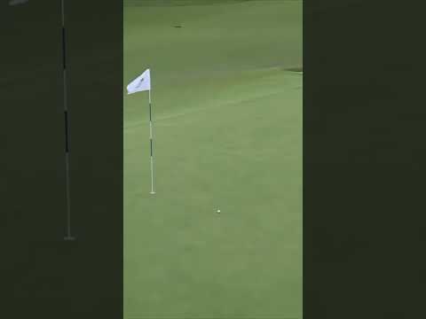 Hitting from the bunker? Not a problem for Max Greyserman 😤