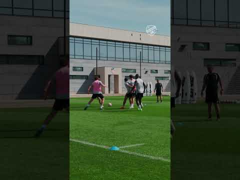 GRAY TEAM IS BACK. 🏅