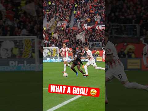 Initiation ⚡️ Speed 🎯 Poku! 😤