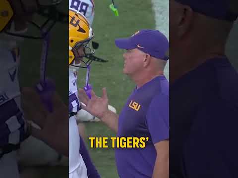 What's next for the Tigers?