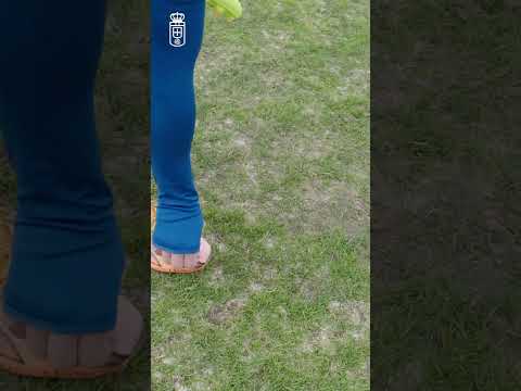 Tips by Santi Cazorla #laligaeasports #realoviedo #laliga #tips #cazorla #training #player #ro