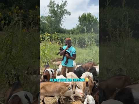 BTS of Temwa with her peers 🐐 #nwsl #soccer #goat #funny #kansascity