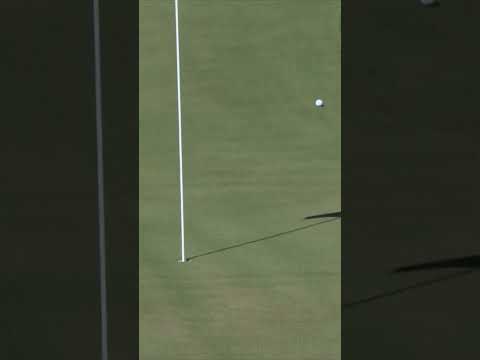 I got a fever and the only cure is a Moore eagle 🦅