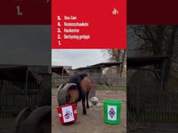 Top-5-Videomomente von Hennes 🐐😅 #effzeh #hennes #GOAT