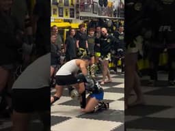 Elite meets elite 👊 What's next for Stamp and Jonathan Di Bella?